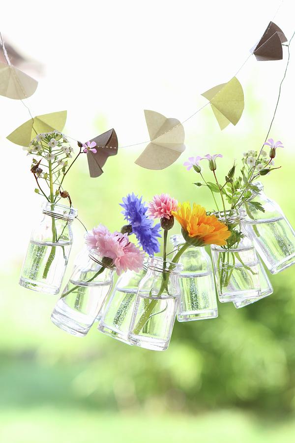 Paper Garland And Garland Of Small Glass Bottles Holding Summer Flowers Photograph by Regina Hippel