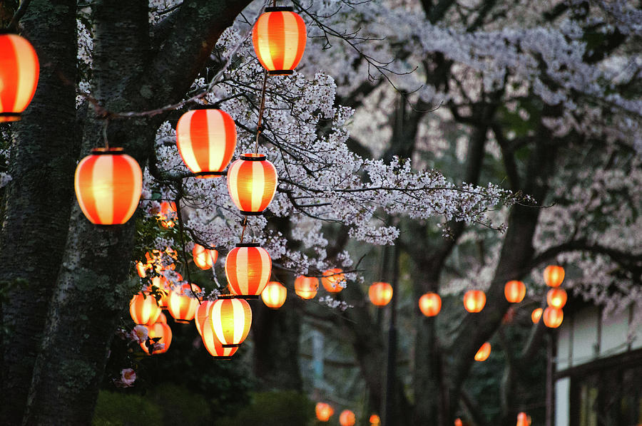 Paper Lanterns Glow Photograph by Ebiq