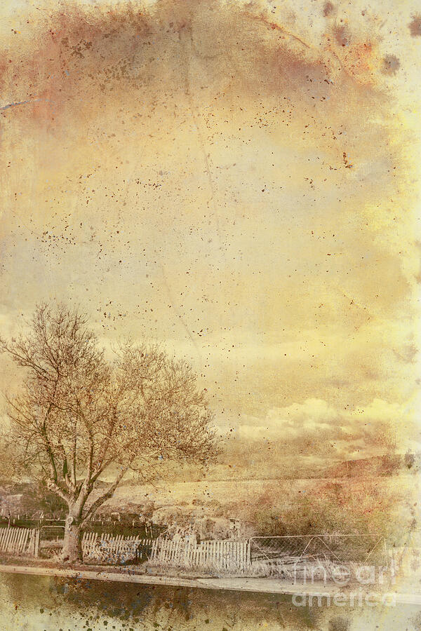 Aged Photograph - Paper Pastorals by Jorgo Photography - Wall Art Gallery Aged Photograph - Paper Pastorals by Jorgo Photography - Wall Art Gallery