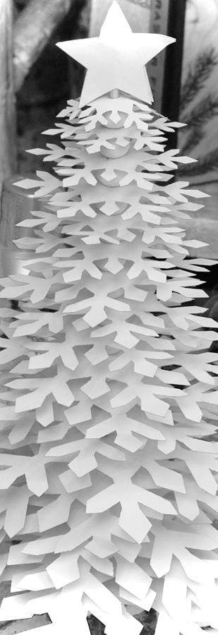 Paper Snowflake Tree Photograph by Debra Grace Addison