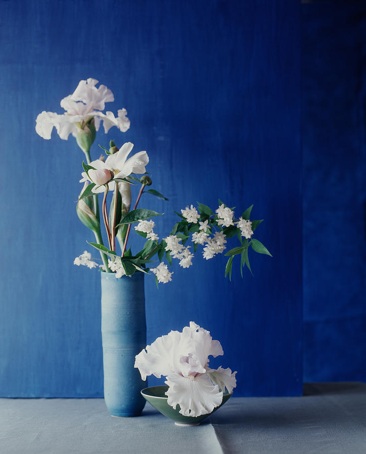Paperwhite Narcissus And White Irises Photograph by Victoria Pearson