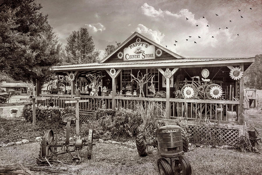 Pappys Country Store in Vintage Sepia Tones Photograph by Debra and Dave Vanderlaan