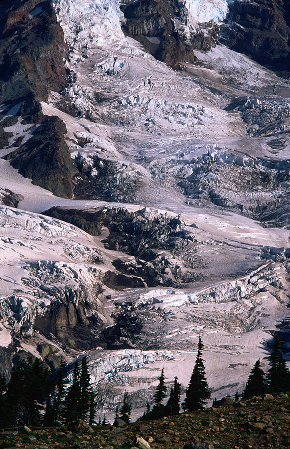 Paradise Glacier Has Many Crevasses And Photograph by John Elk