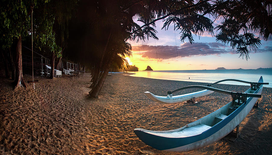 Paradise Island by Sean Davey Paradise Island by Sean Davey
