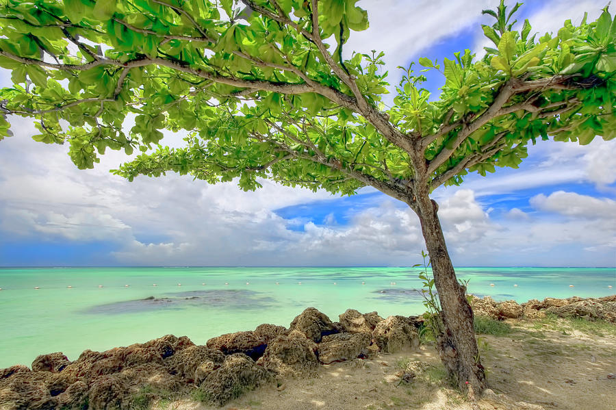 Paradise Island, Tobago Photograph by Nadia Sanowar