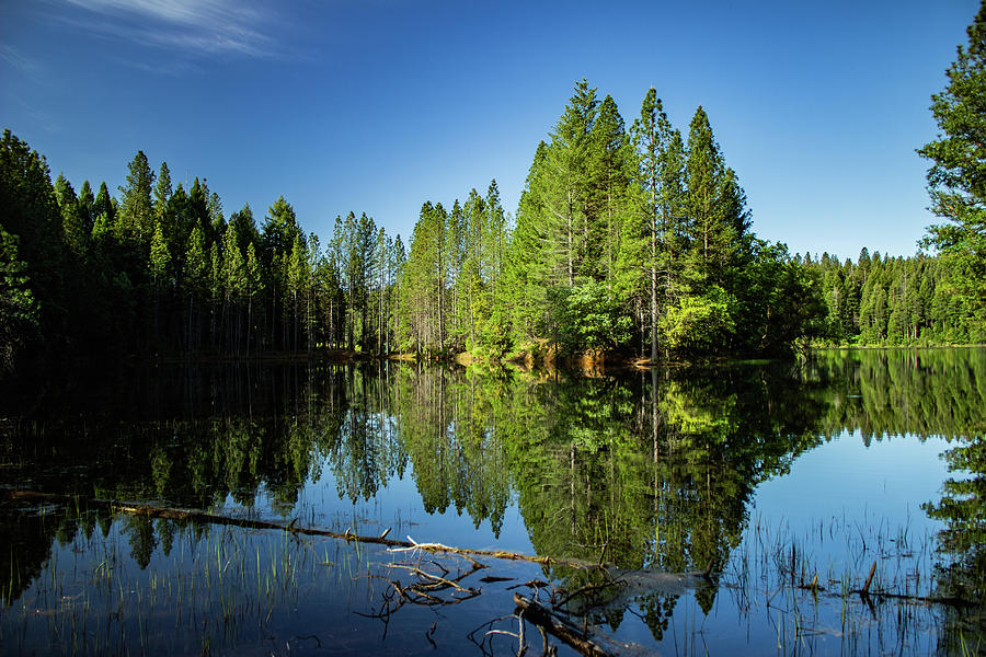 Lake Photograph - Paradise Lake #1 by John Heywood Lake Photograph - Paradise Lake #1 by John Heywood
