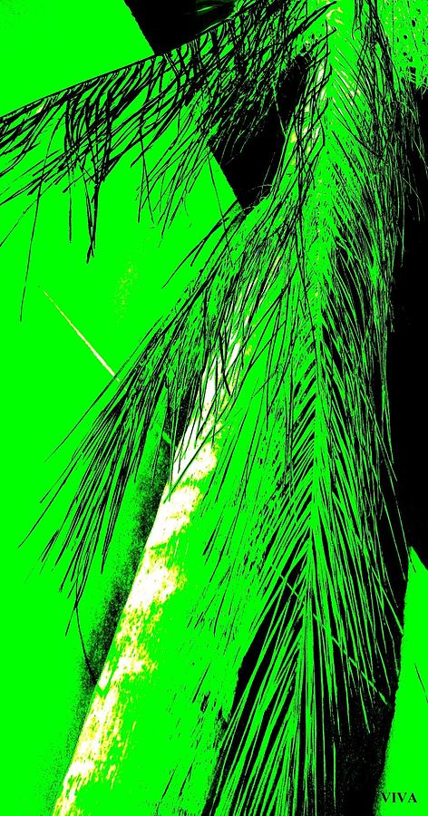 Paradise Palms Green Photograph by VIVA Anderson