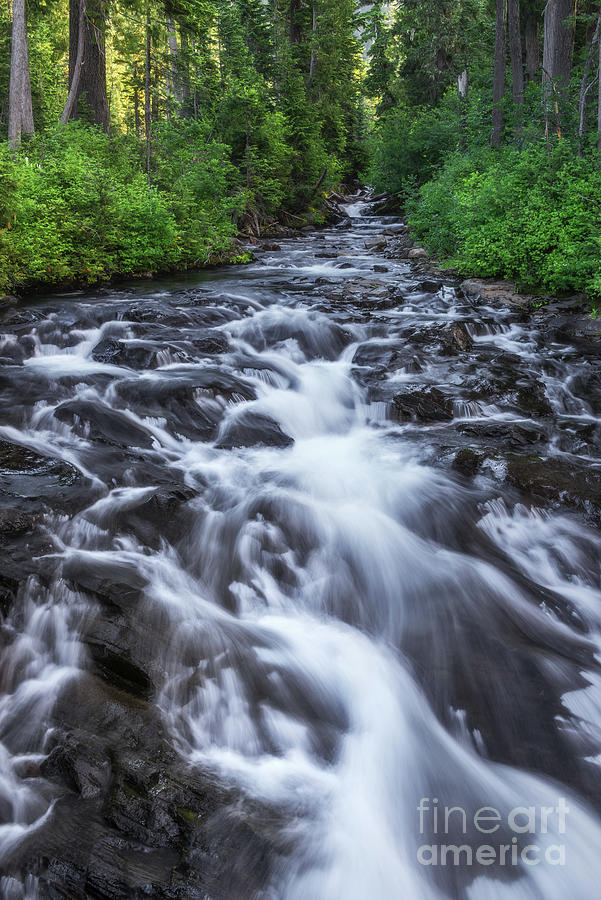Paradise River by Sharon Seaward Paradise River by Sharon Seaward