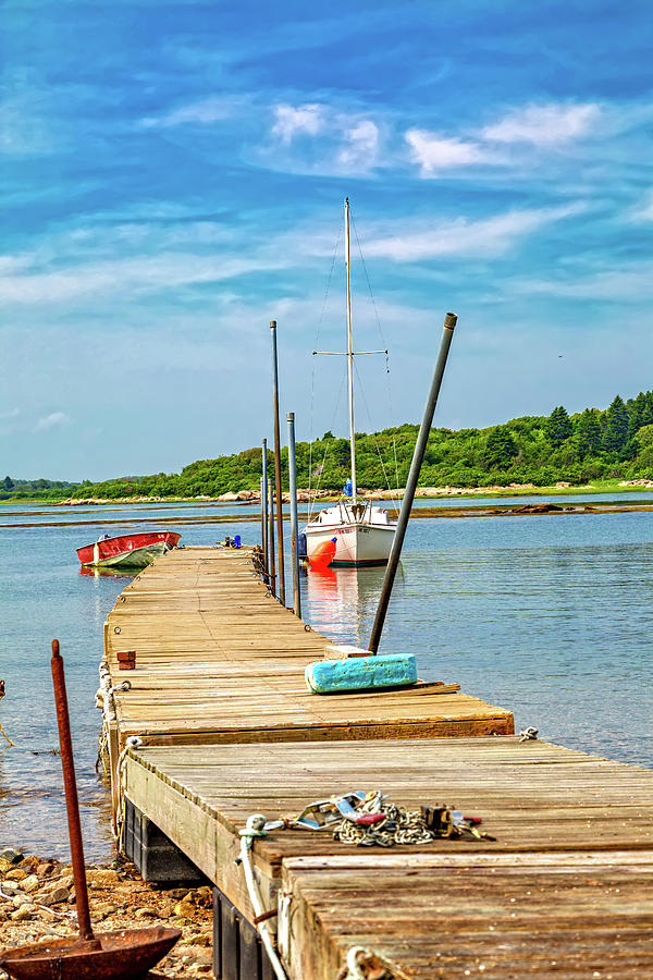 Goat Photograph - Paradise Sailing Day In Maine by Betsy Knapp Goat Photograph - Paradise Sailing Day In Maine by Betsy Knapp