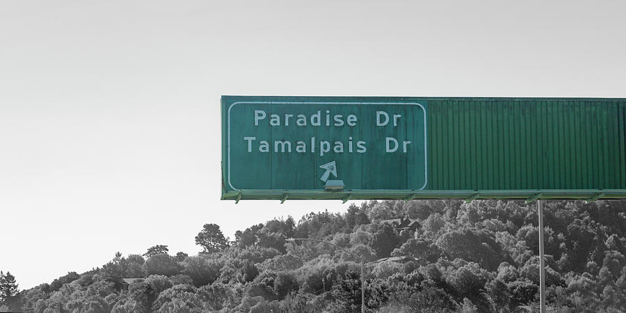 Paradise Tamalpais Drive California Road Sign Photograph