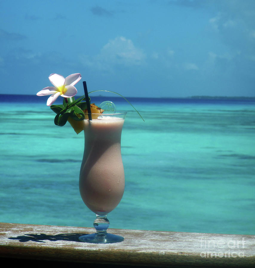 Paradise Photograph - Paradise by Terri Brewster