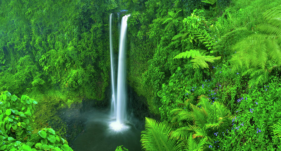 Paradise Waterfall Photograph by Rawpixel