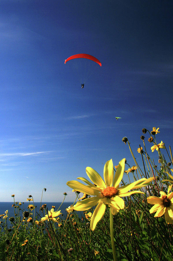 Paraglider  Photograph by Scott Cunningham