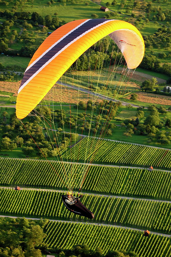 Paragliding Over Vineyards Digital Art by Reinhard Schmid
