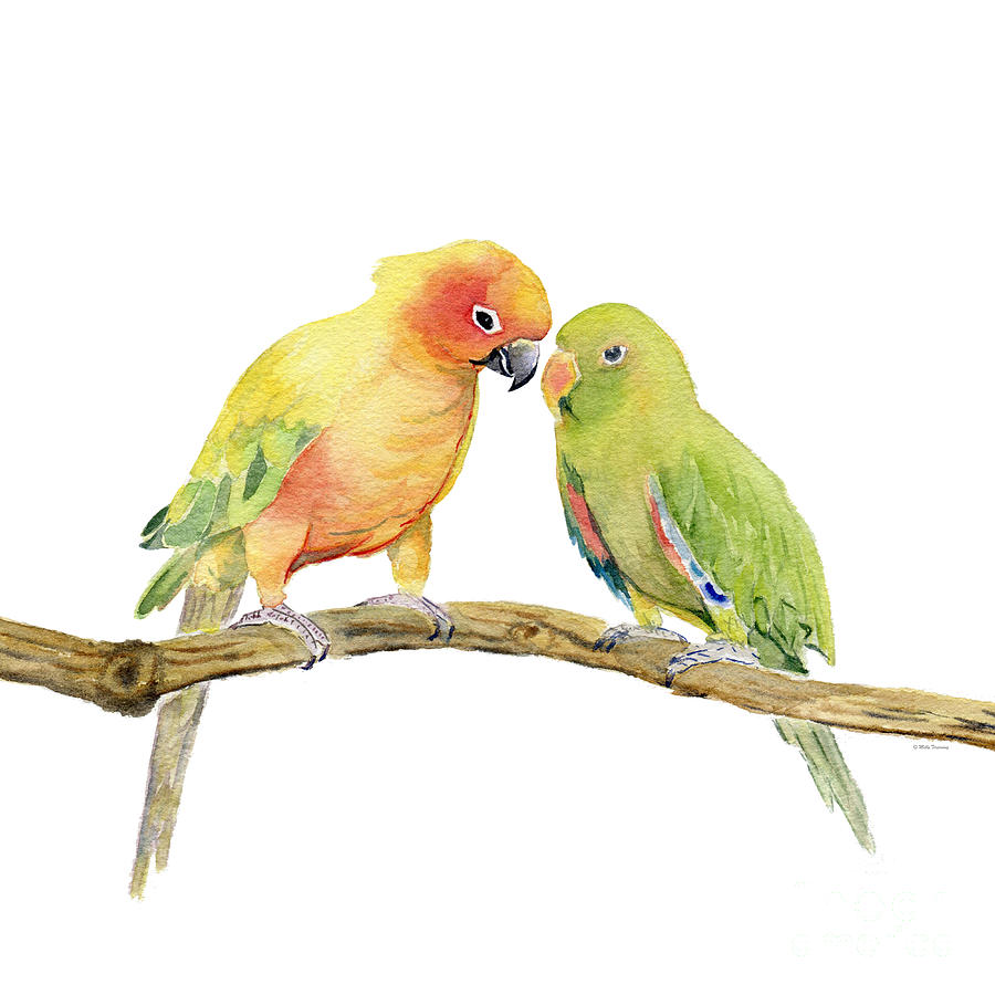 Parakeet Painting - Parakeet - Friendship by Melly Terpening