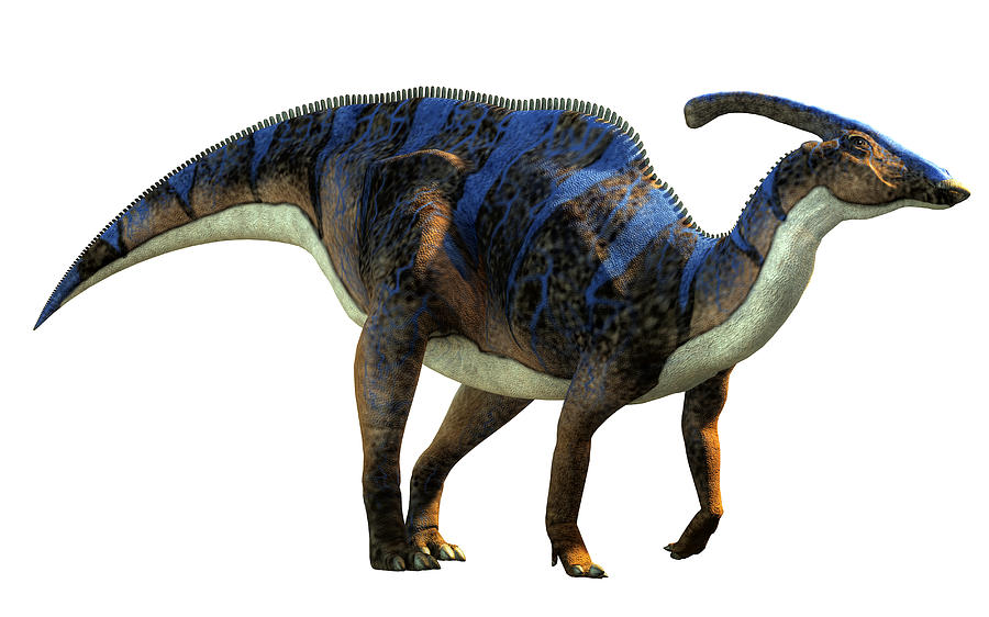 Parasaurolophus Digital Art by Daniel Eskridge