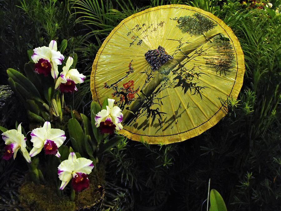 Orchid Photograph - Parasol Among the Orchids by William Bracht