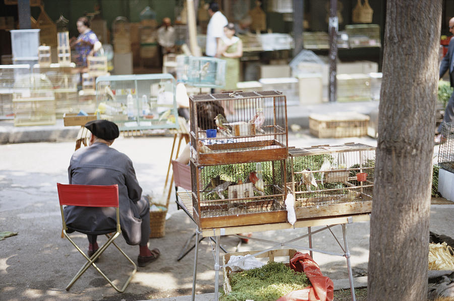 Paris Bird Market Photograph by Frederic Lewis