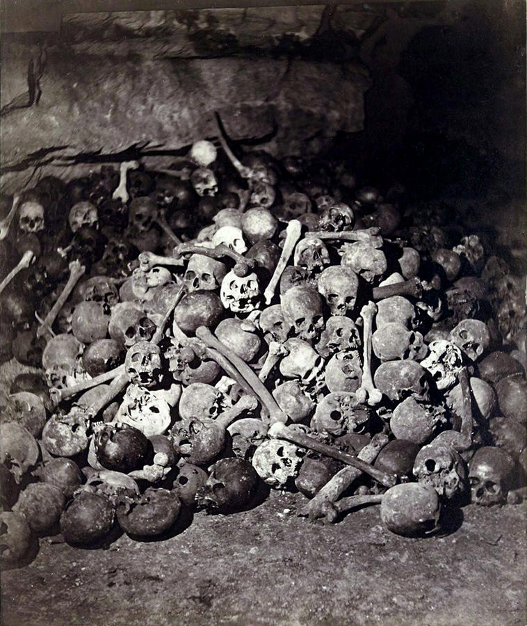 Paris Catacombs, 1861 Photograph by Science Source