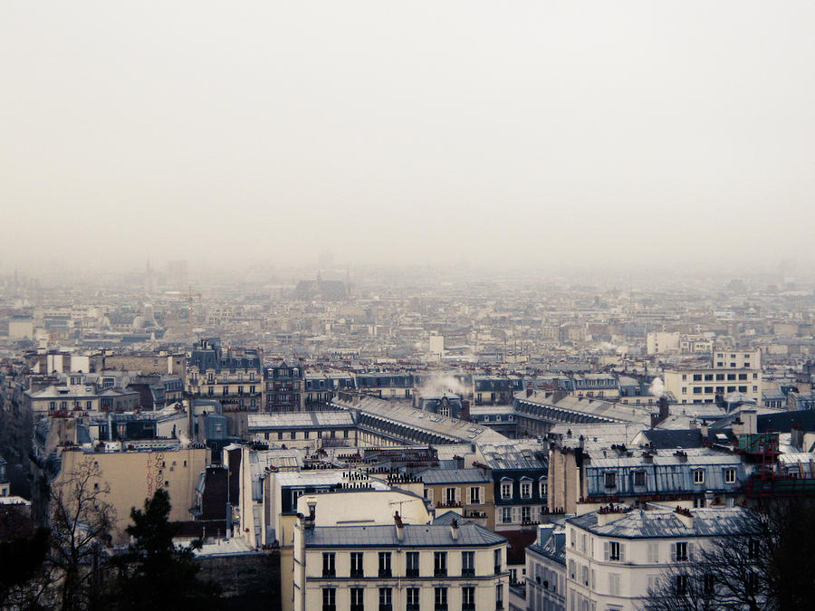 Paris Cityscape Photograph by Hanneke Vollbehr