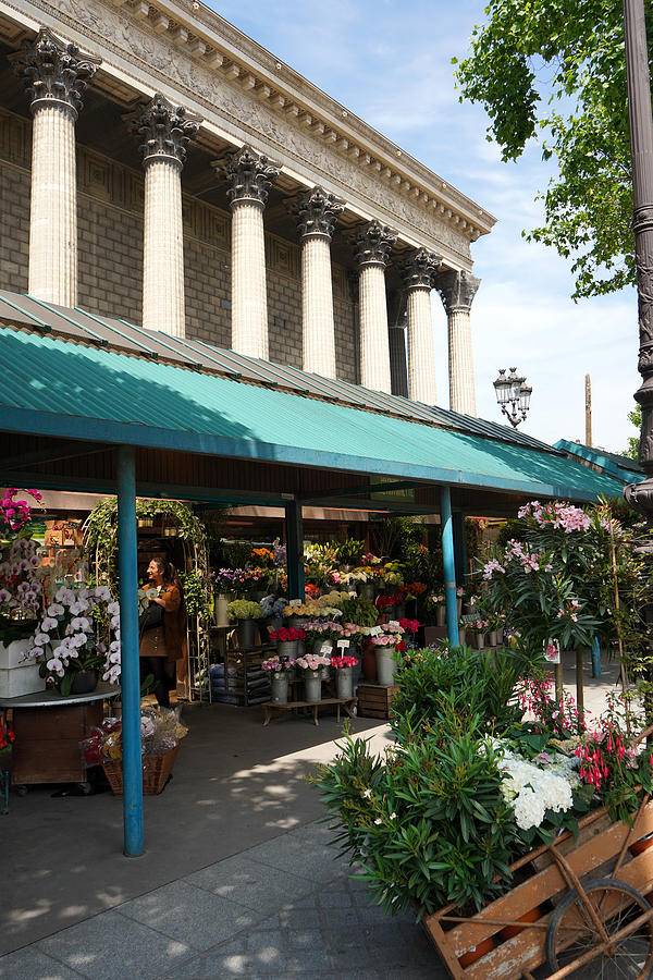 Paris Flower Vendor Photograph by Andrew Fare