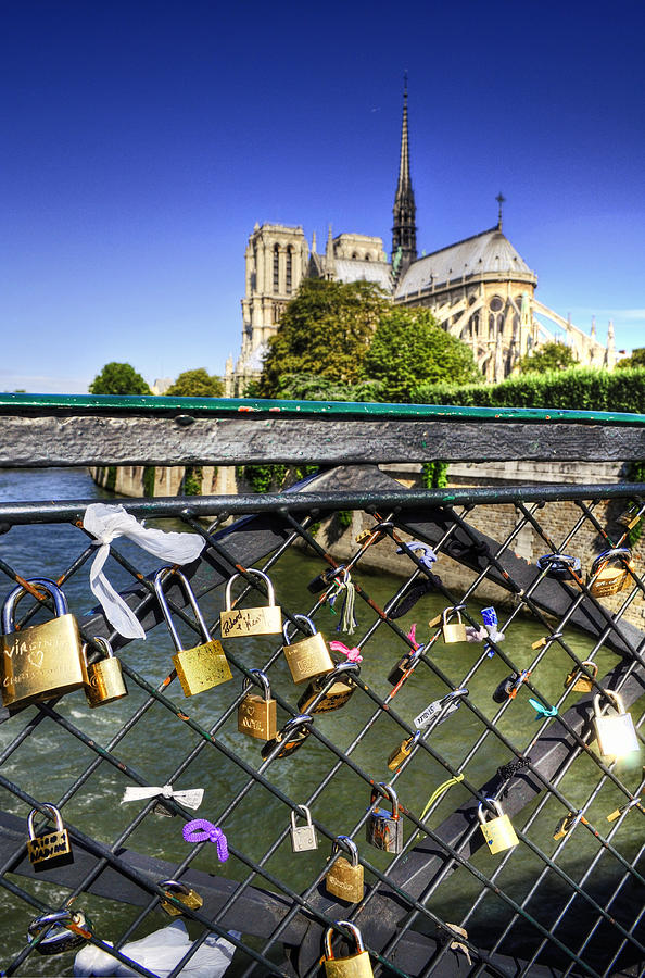 Paris - Notre Dame With Pont De La Photograph by Noovae
