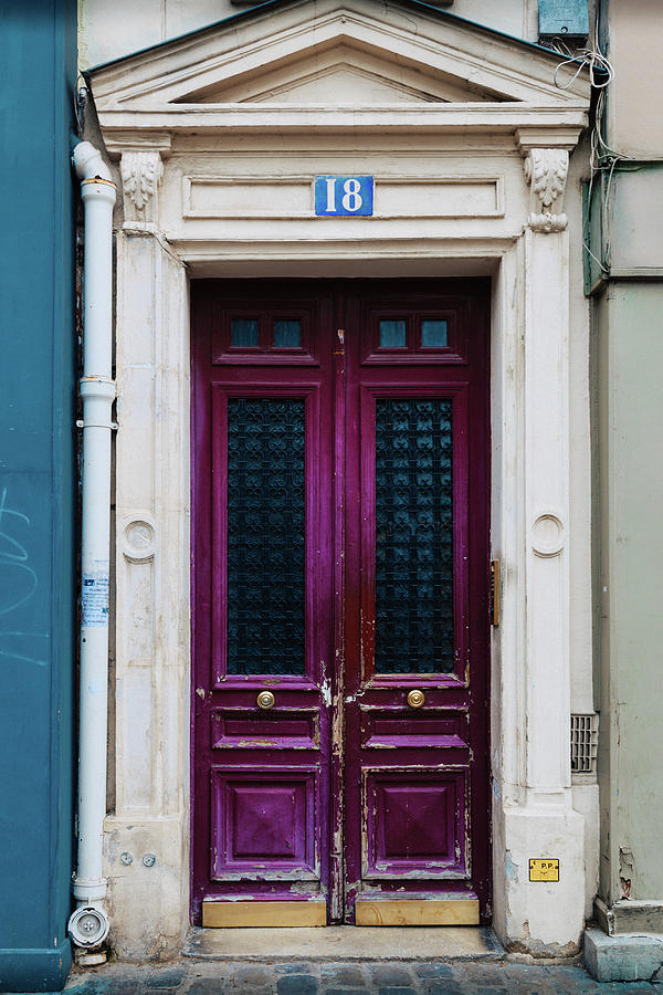 Paris Pink Door Photograph by Georgia Clare