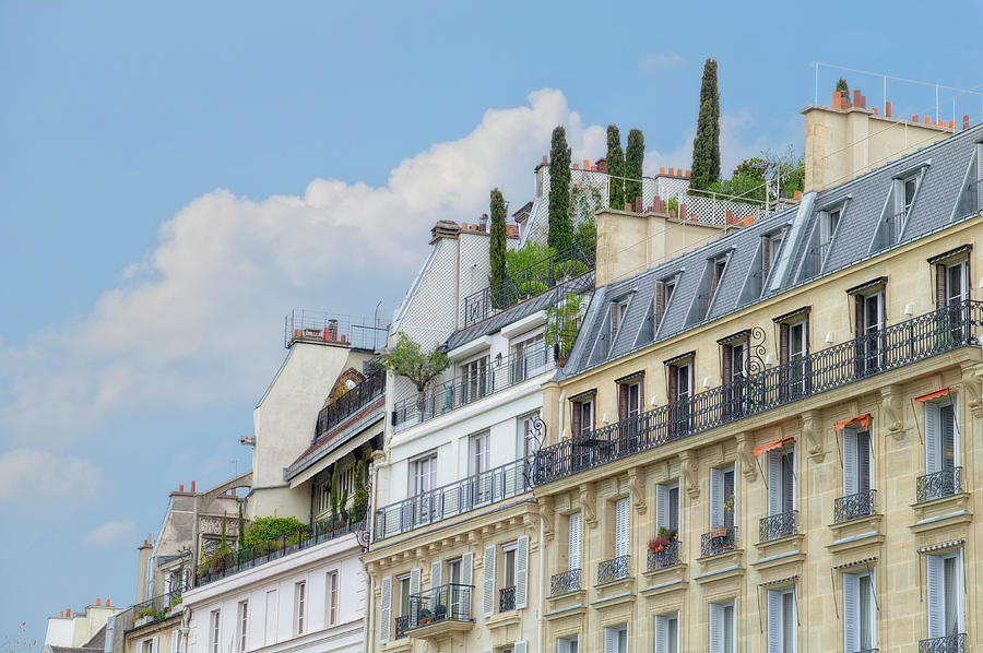 Paris' Roof Gardens Photograph by Cora Niele Pixels