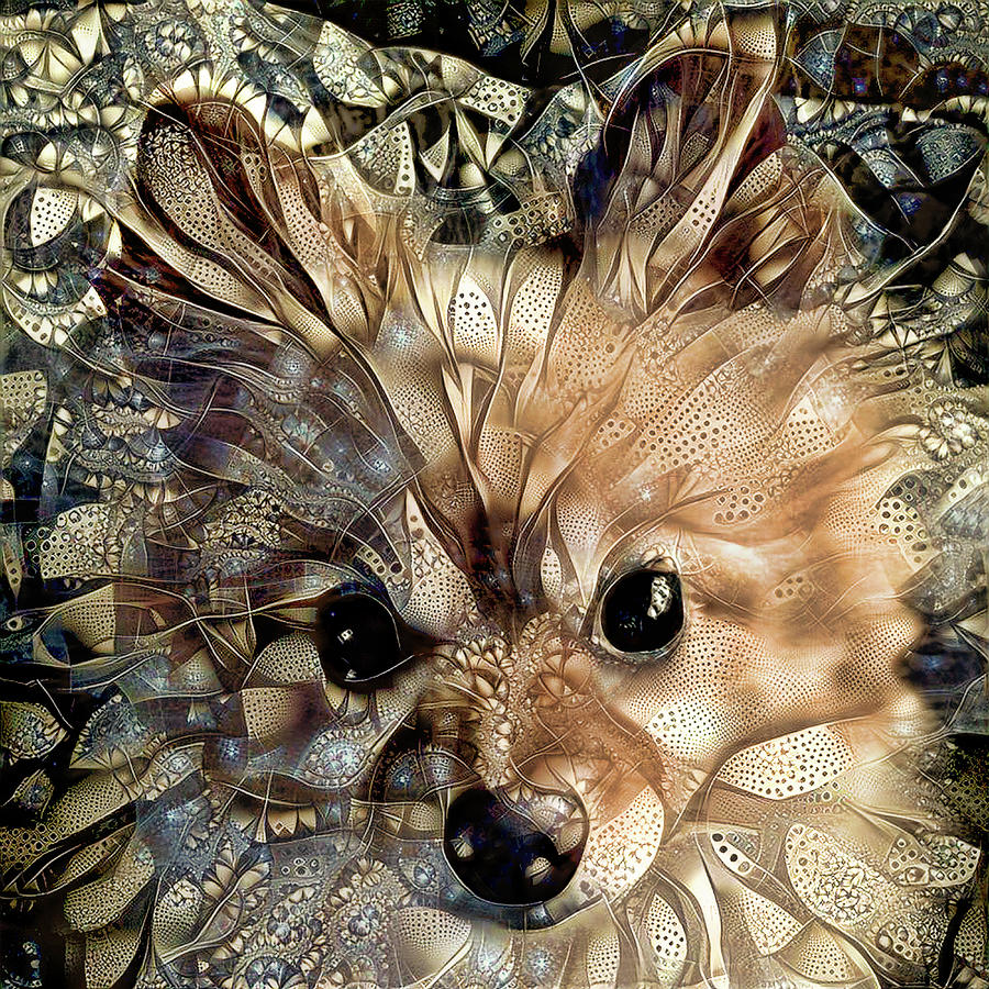 Pomeranian Dog Digital Art - Paris the Pomeranian Dog by Peggy Collins