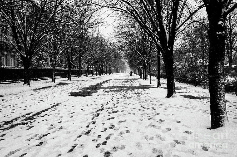 Paris Walk in the Snow Photograph by M G Whittingham