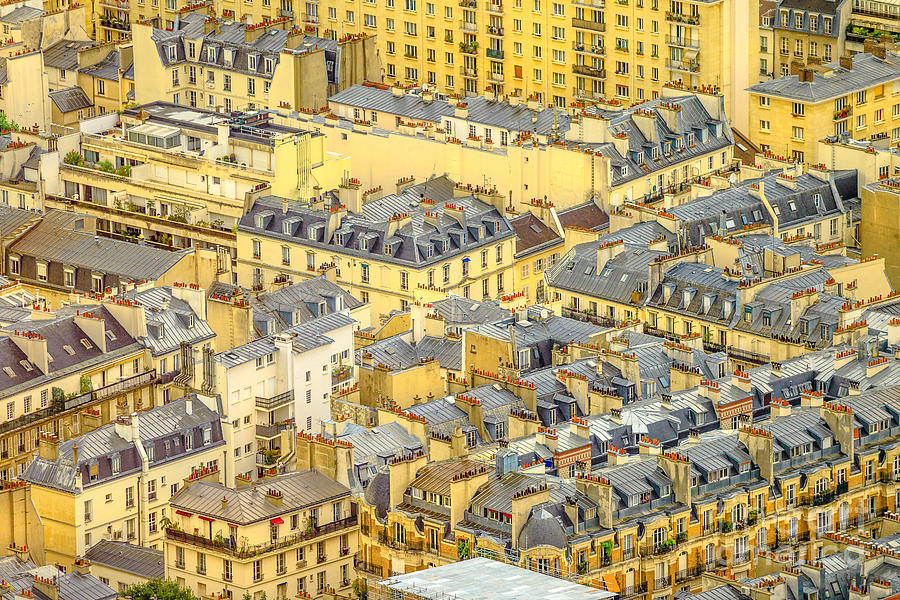 Parisian roofs skyline Photograph by Benny Marty