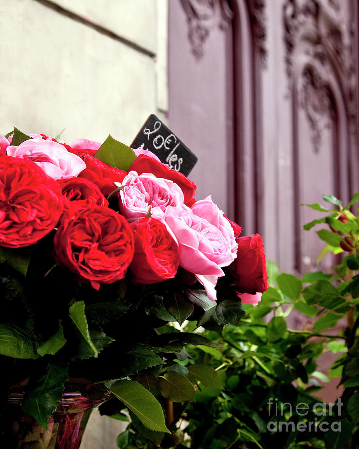 Parisian Roses Photograph by Brian Jannsen