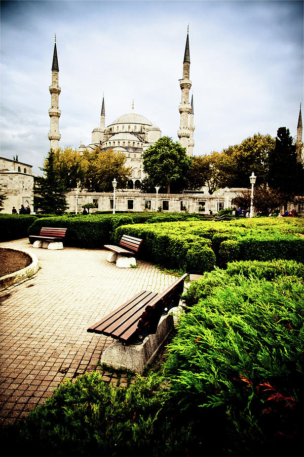 Park And Blue Mosque In The Background Photograph by Casarsa