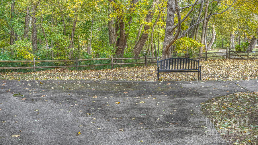 Park Bench @ Sharon Woods Photograph by Jeremy Lankford