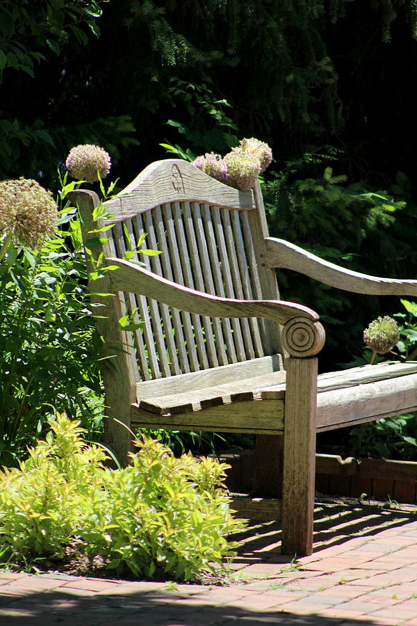 Park Bench Photograph - Park Bench at the Chicago Botanical Gardens by Colleen Cornelius
