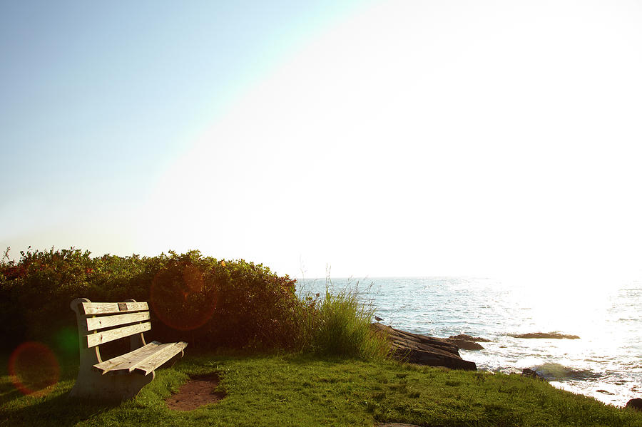 Park Bench Overlooking Atlantic Ocean Photograph by Thomas Northcut
