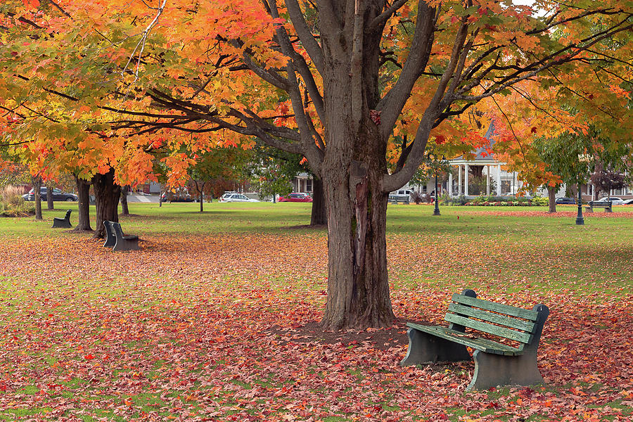 Park Bench Photograph by Tim Kirchoff