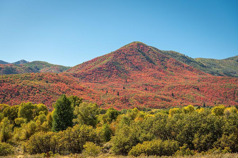 Fall Photograph - Park City, Utah, Usa Foliage by Sean Pavone