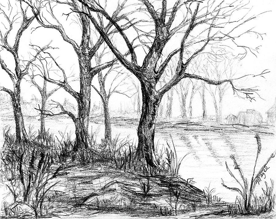 Park Lake Drawing by Mazel Linowitz - Fine Art America