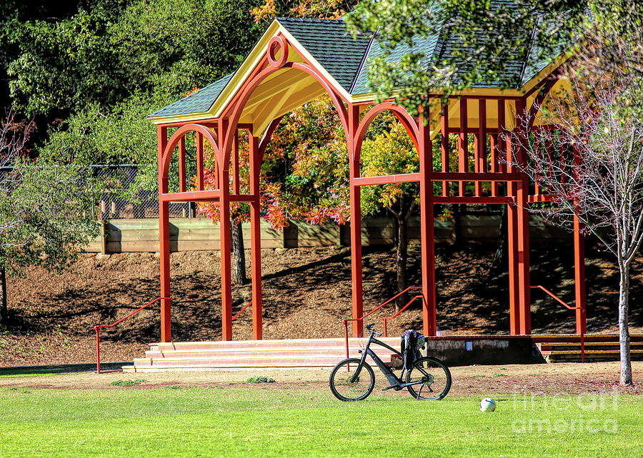 Park Pavilion Bicycle Sunny Day  Photograph by Chuck Kuhn