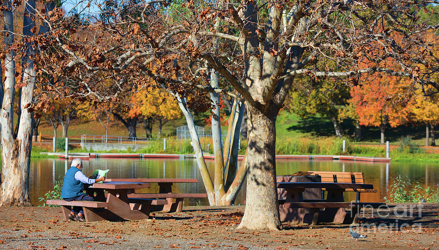 Park Vasona California Autumn  Photograph by Chuck Kuhn