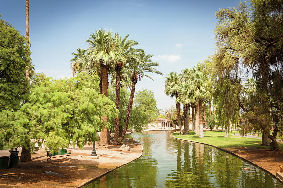 Summer Photograph - Park With Palm Tree In Phoenix - Arizona by Franckreporter