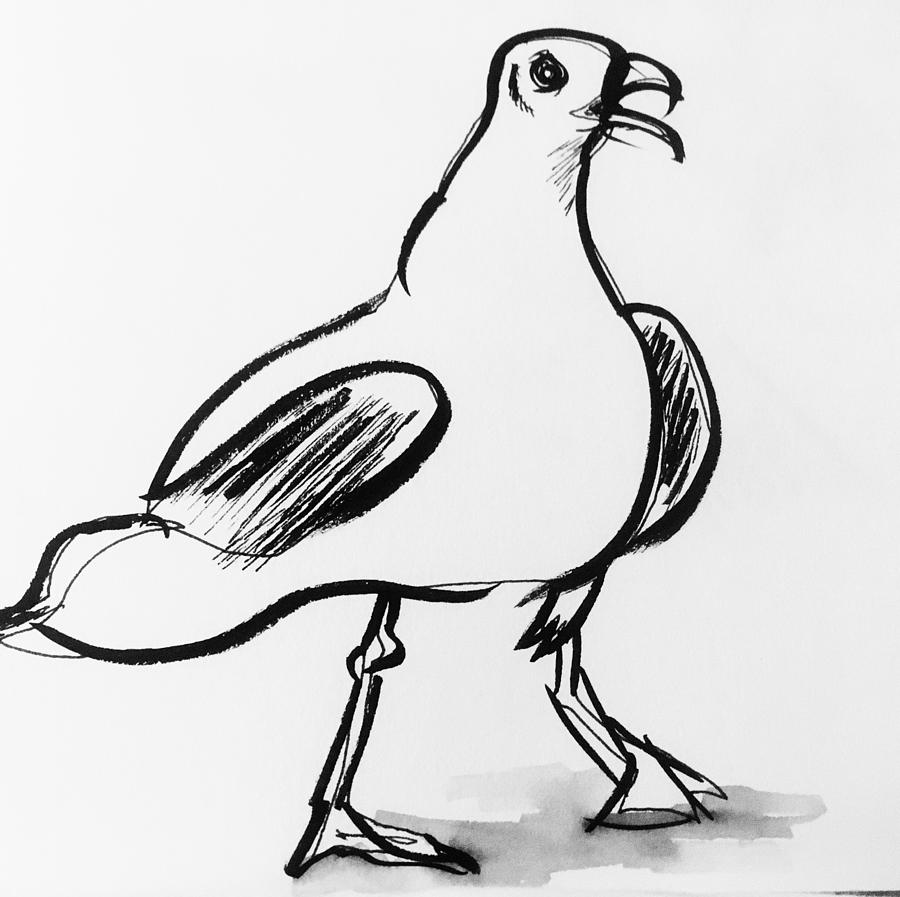 Parklife - Seagull Drawing by Maxie Absell