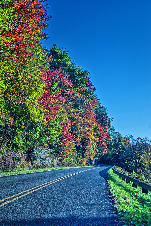 Parkway Colors by Meta Gatschenberger Parkway Colors by Meta Gatschenberger