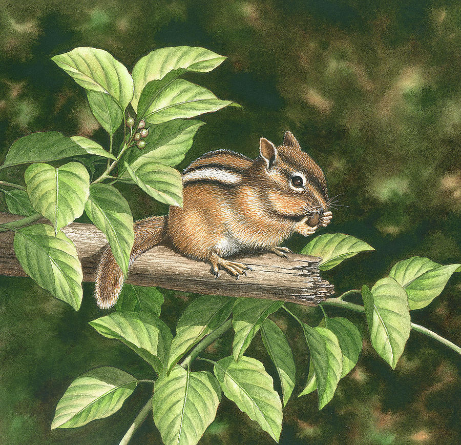 Squirrel Eating A Nut Painting - Parkway Picnic by Dempsey Essick