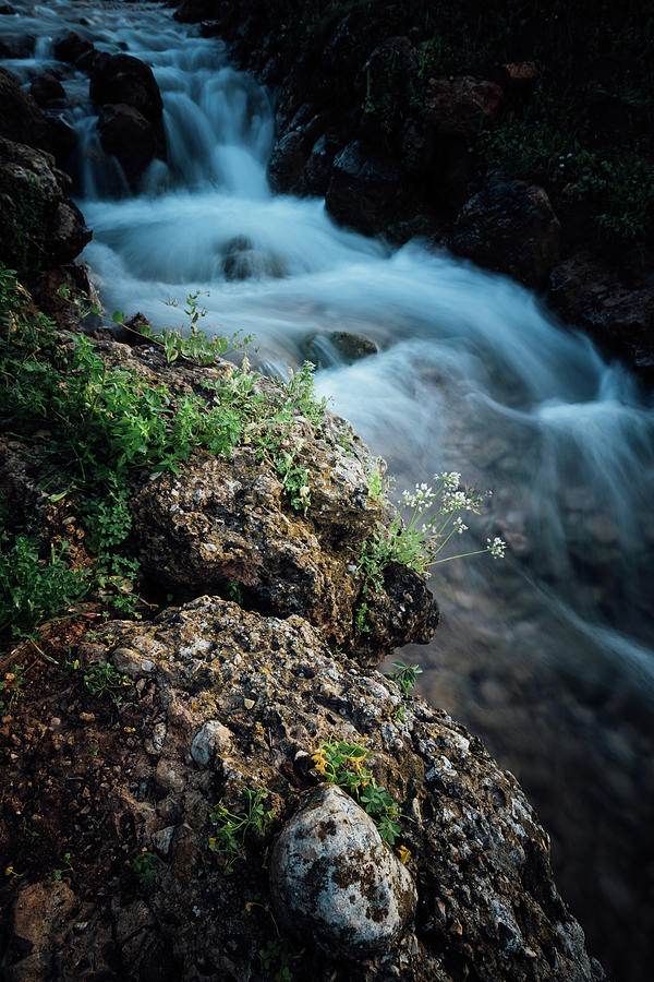 Parod Falls - 1 Photograph by Mati Krimerman