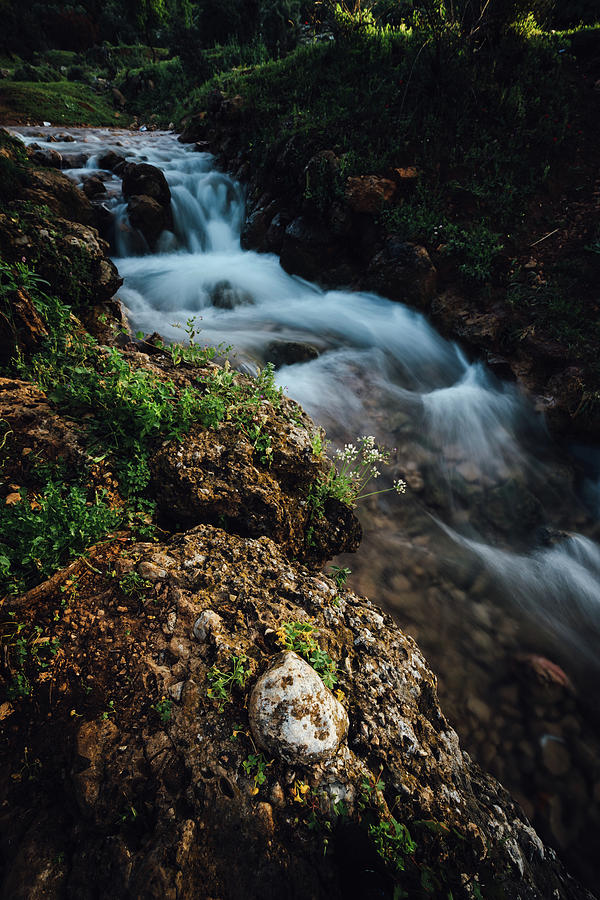 Parod Falls - 2 Photograph by Mati Krimerman