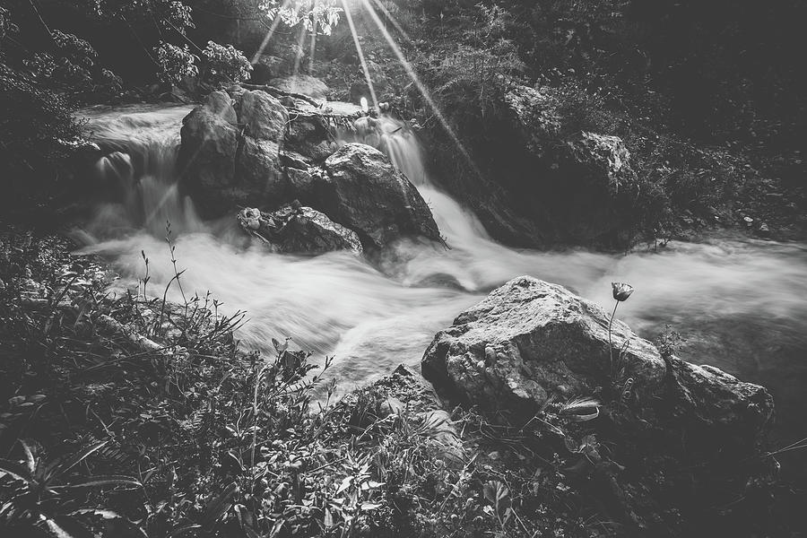 Parod Falls - black and white Photograph by Mati Krimerman