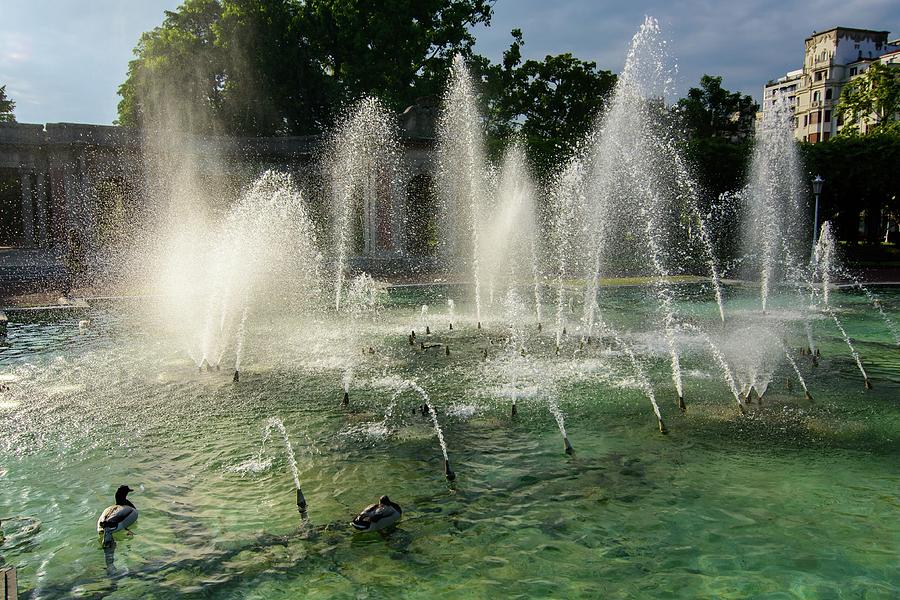 Parque De Doña Casilda Photograph by Juan Carlos Cantero - Fine Art America