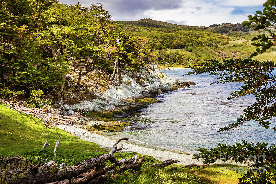 Parque National Tierra del Fuego, Argentina Photograph by Lyl Dil Creations